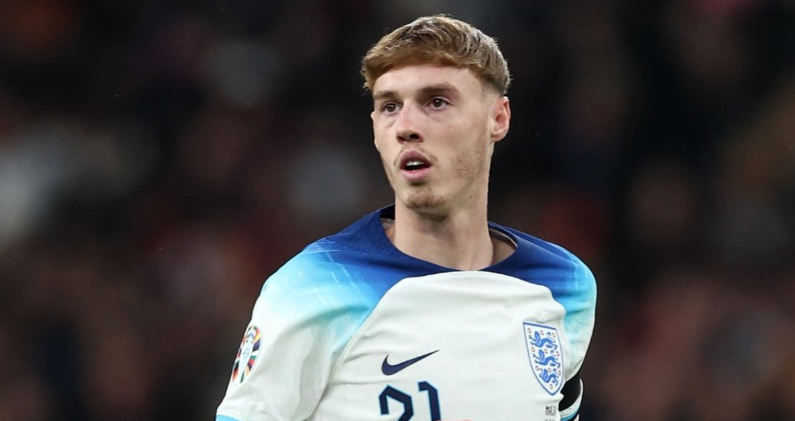 贡献了一粒 贡献了一粒