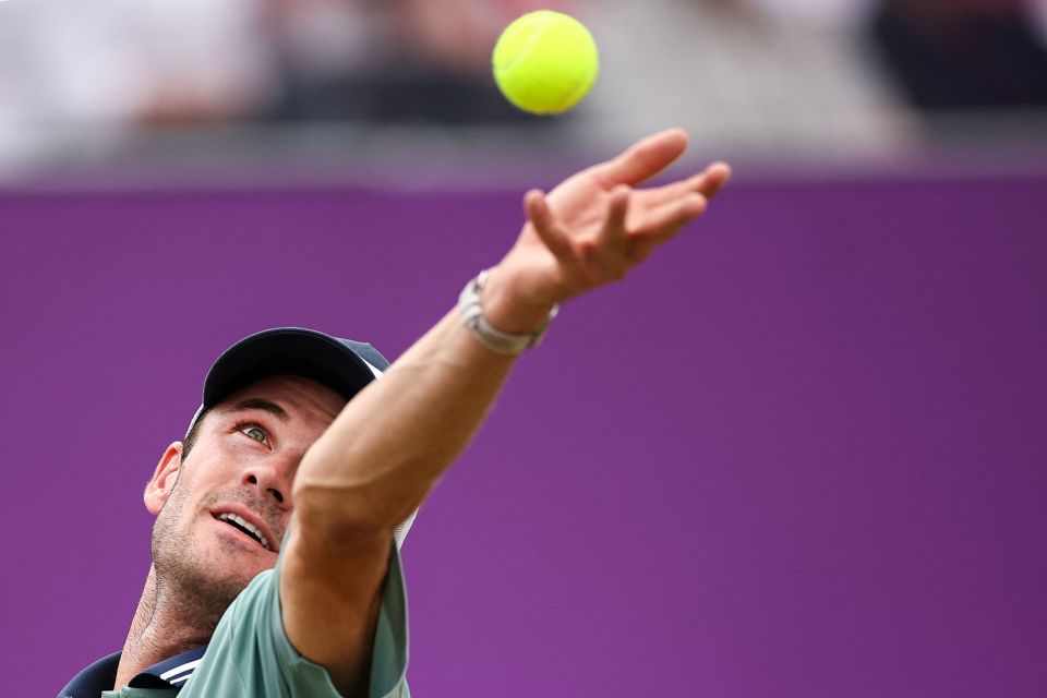 并且充满新 并且充满新